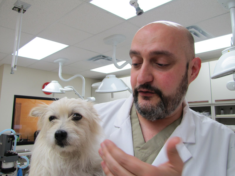 Dr. Ricardo Bonafine holding a dog