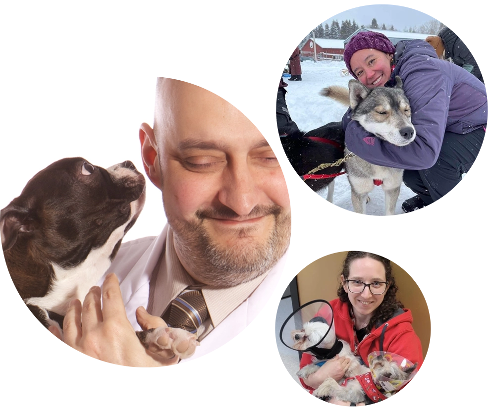 The CHVC team and their pets