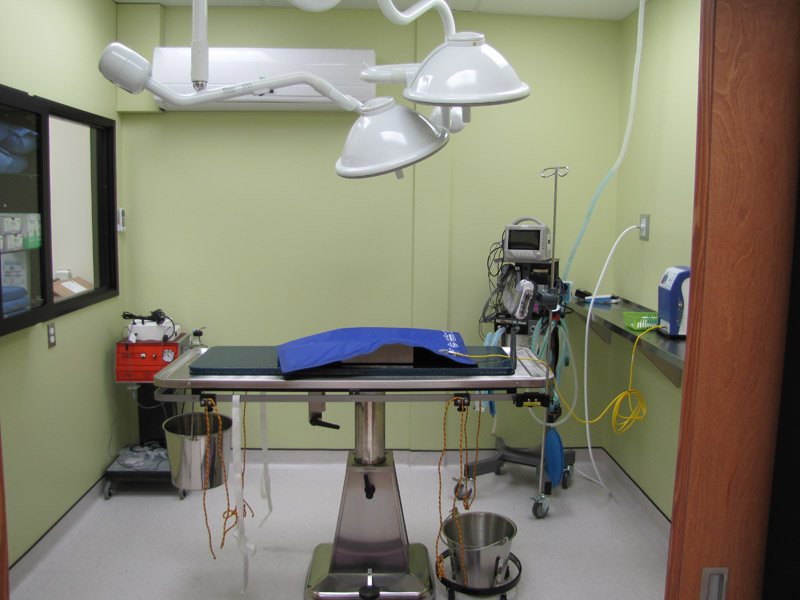 Surgery table