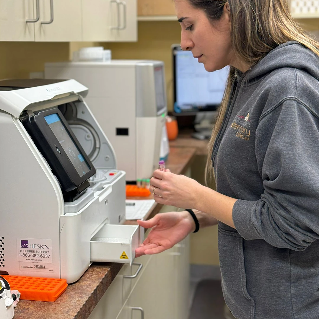 In-House laboratory testing