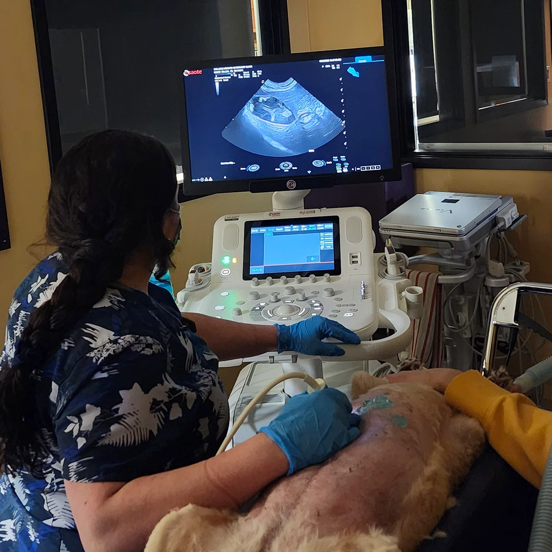 Diagnostic Ultrasound Room