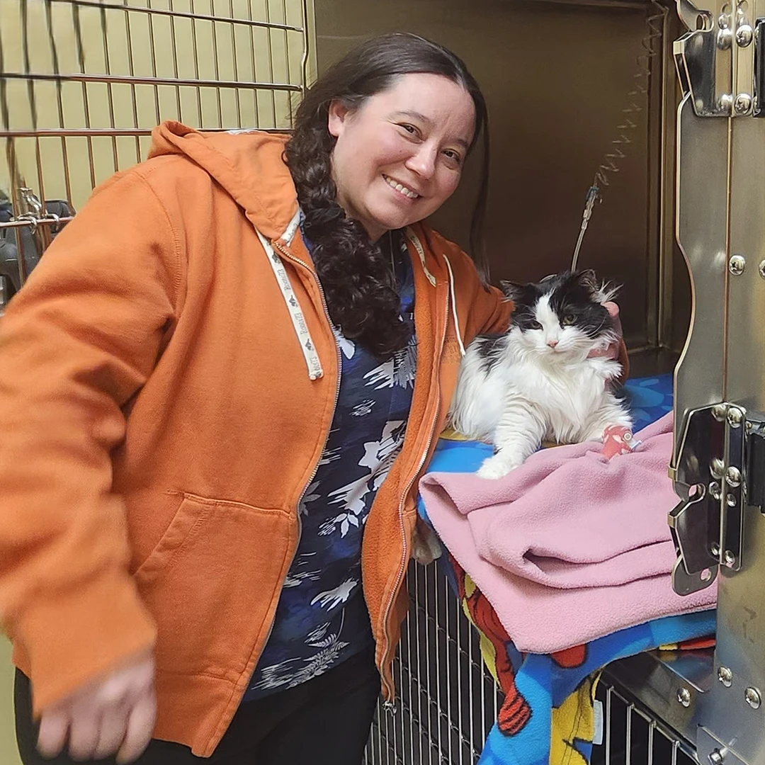 Victoria comforting a recovering cat